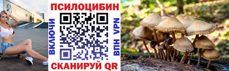 Псилоцибиновые грибы ЛСД  продажа наркотиков  darknet формула  Кадников 